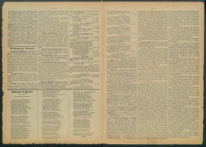 gazeta radomska-1885-27-00002